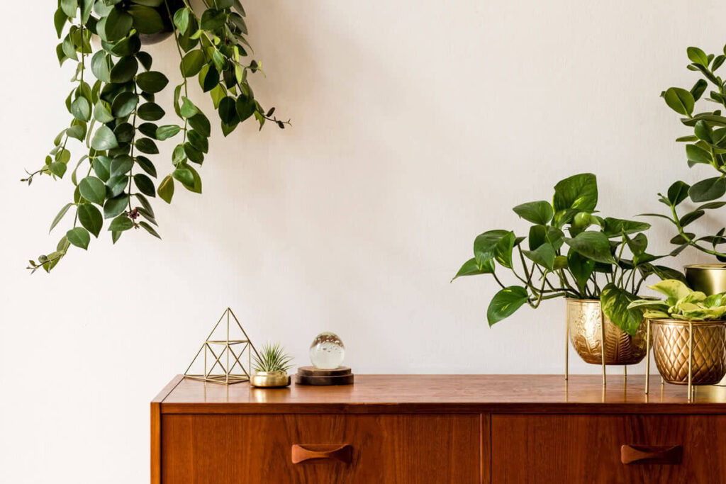 Bellwether Counseling offers a peaceful enviroment for their therapy sessions.